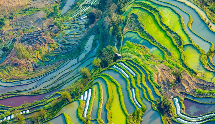 宝妈必备神器：太康县产品视频拍摄轻松育儿好帮手