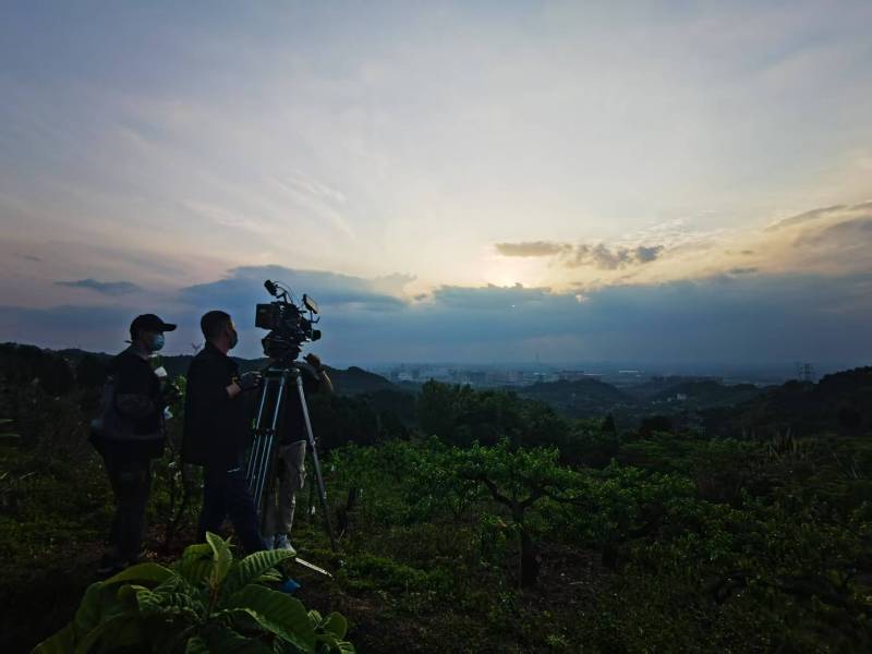 聚焦太康县产品宣传视频拍摄公司，用专业实力铸就品牌传播传奇