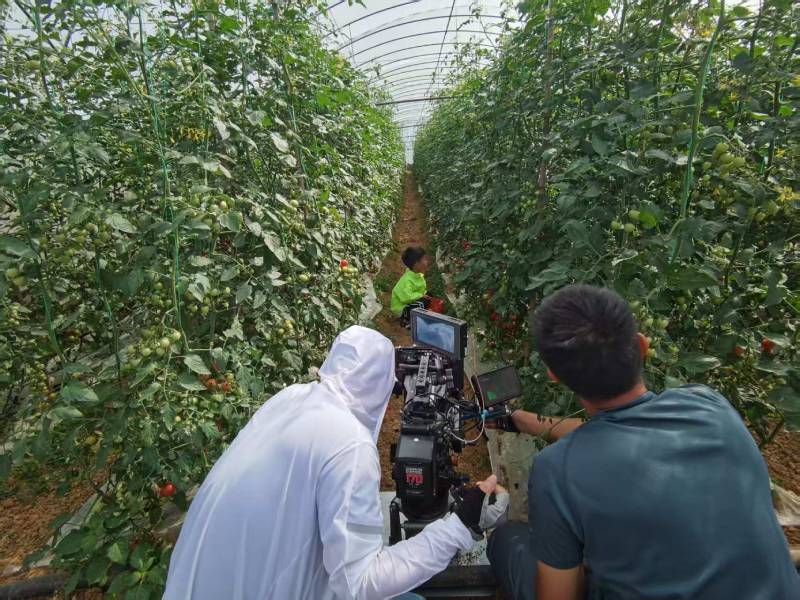 太康县产品宣传视频拍摄公司进阶指南，助力品牌抢占传播高地